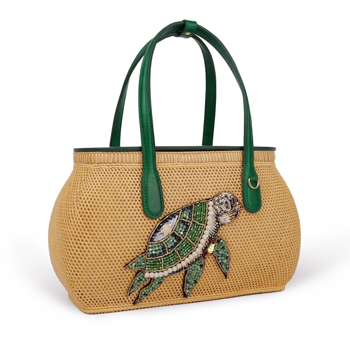 マザータートル コンダオ型 - 画像 (6)