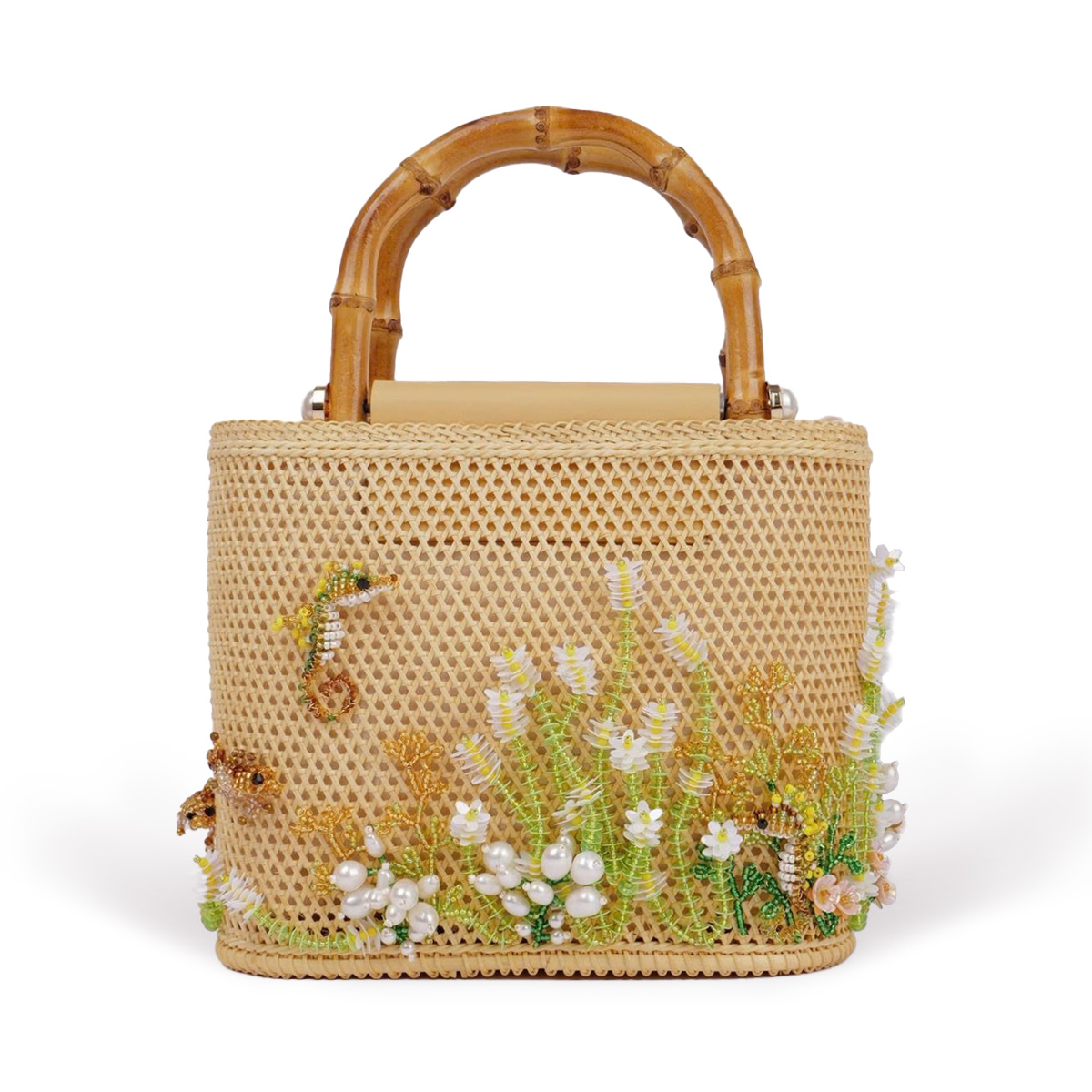 コンダオの海 タツノオトシゴ