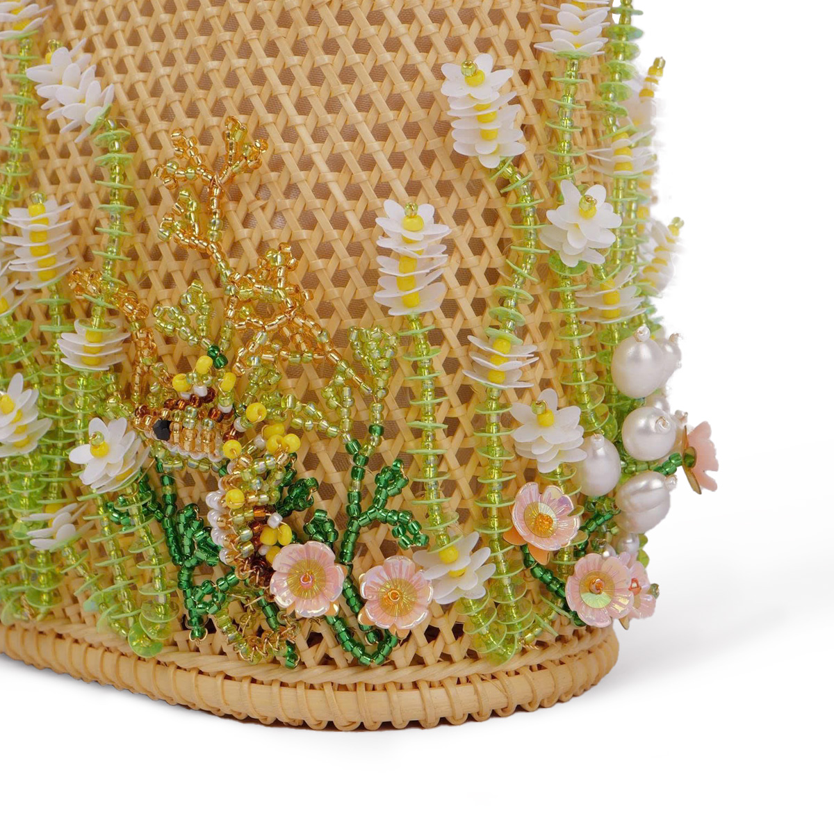 コンダオの海 タツノオトシゴ - 画像 (3)