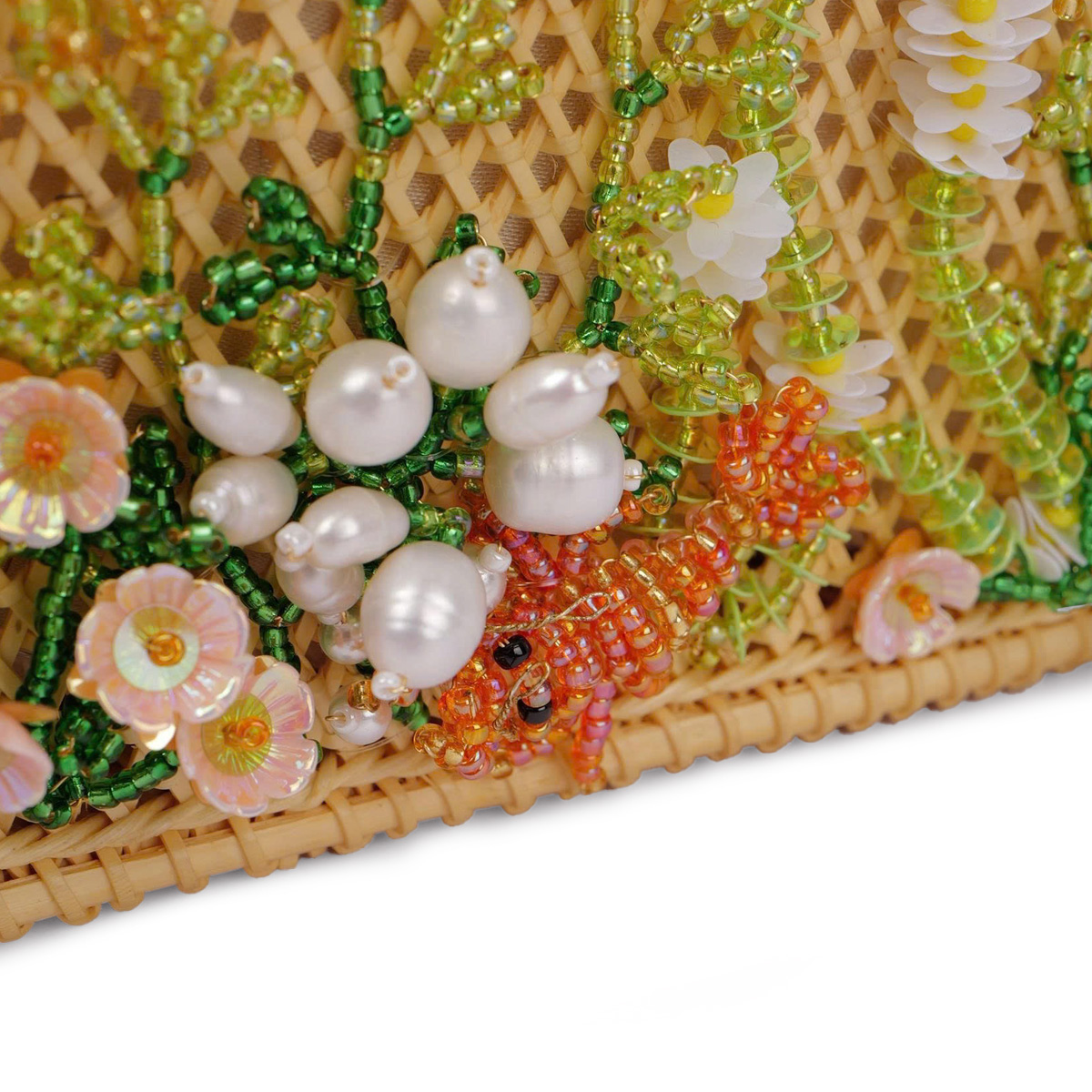 コンダオの海 タツノオトシゴ - 画像 (4)