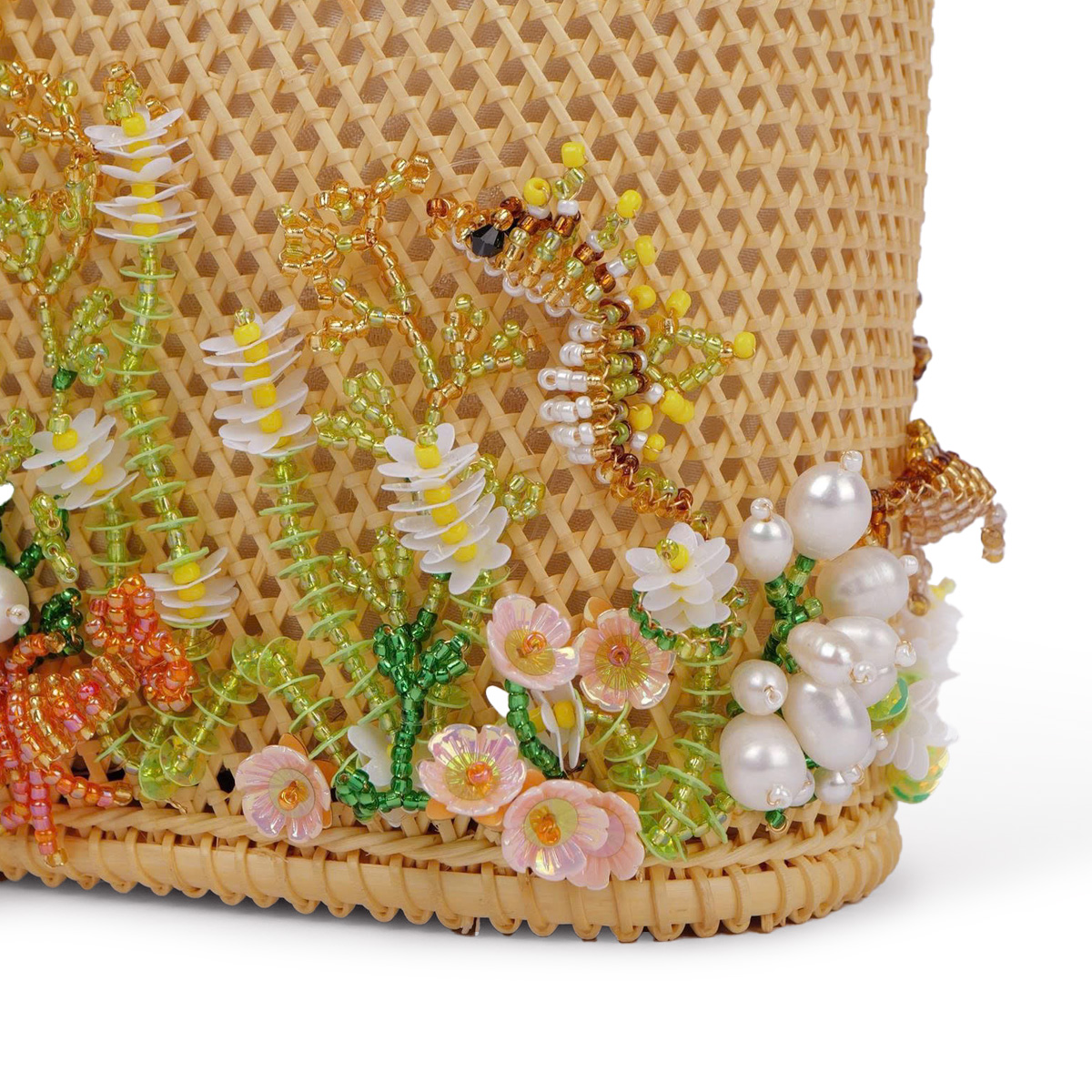 コンダオの海 タツノオトシゴ - 画像 (5)